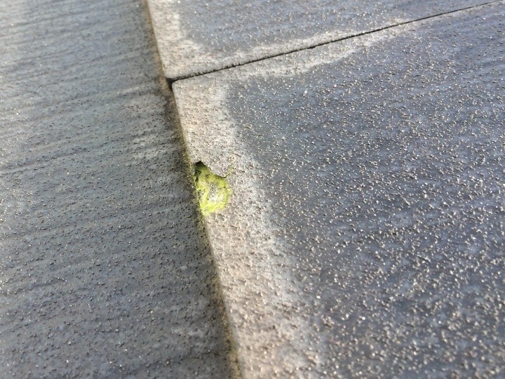 表面の剥離と内部露出