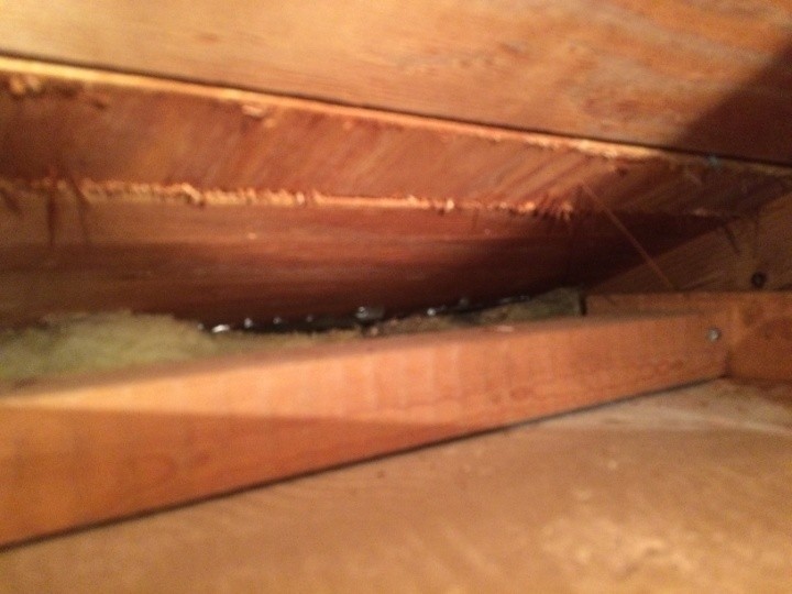 野地板裏面の湿り