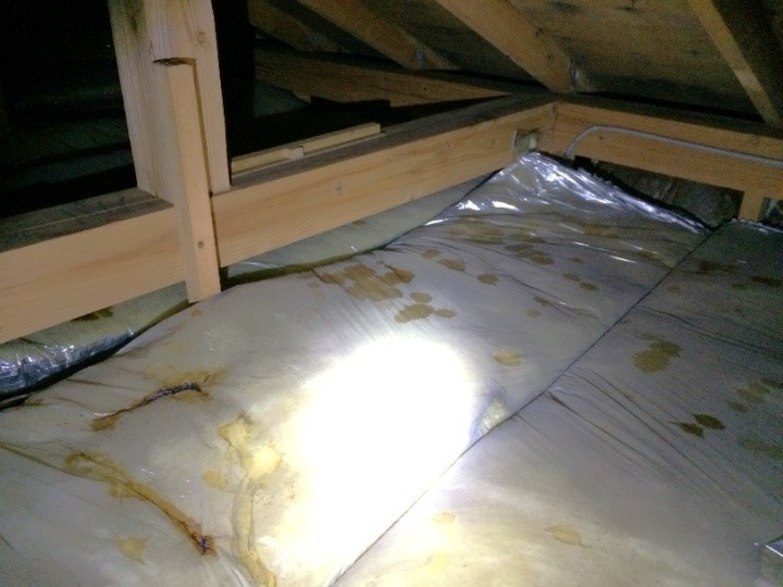 断熱材にも雨漏り跡が広がる