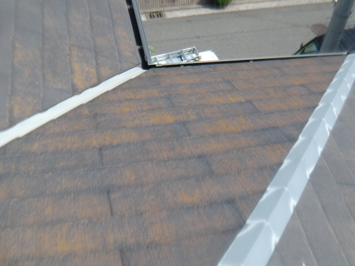 苔（コケ）が繁殖した屋根