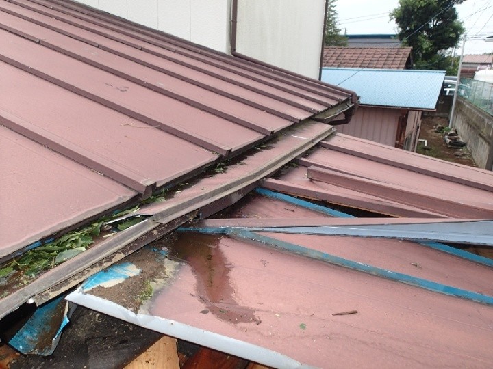 野地板と防水紙が飛ばされている状態