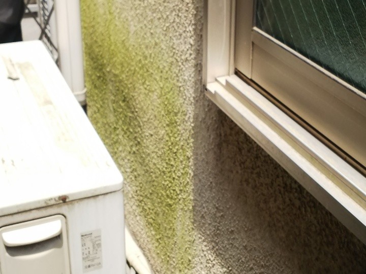 苔が発生したモルタル外壁