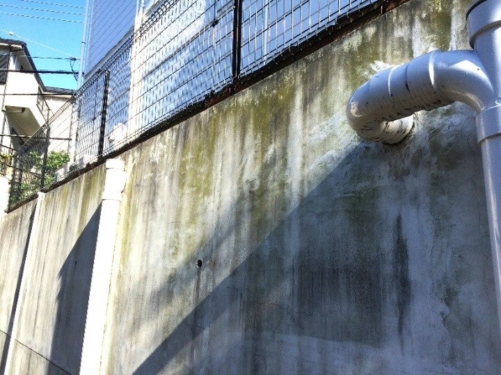 苔が繫殖した擁壁