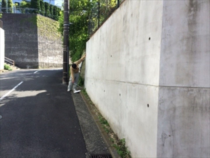 苔が繁殖しやすい環境