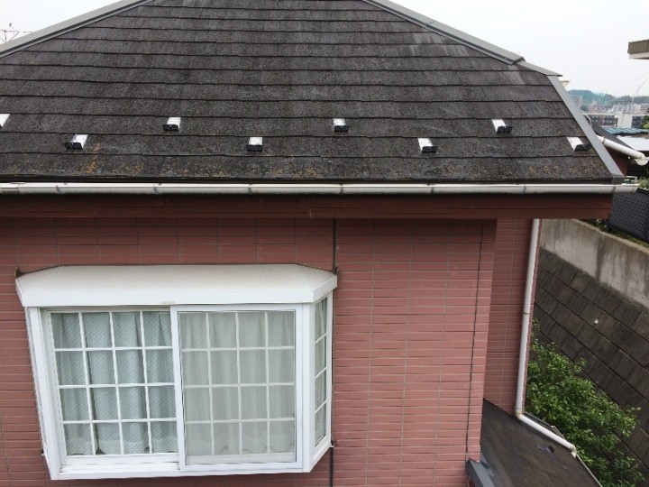 屋根に苔が繁殖