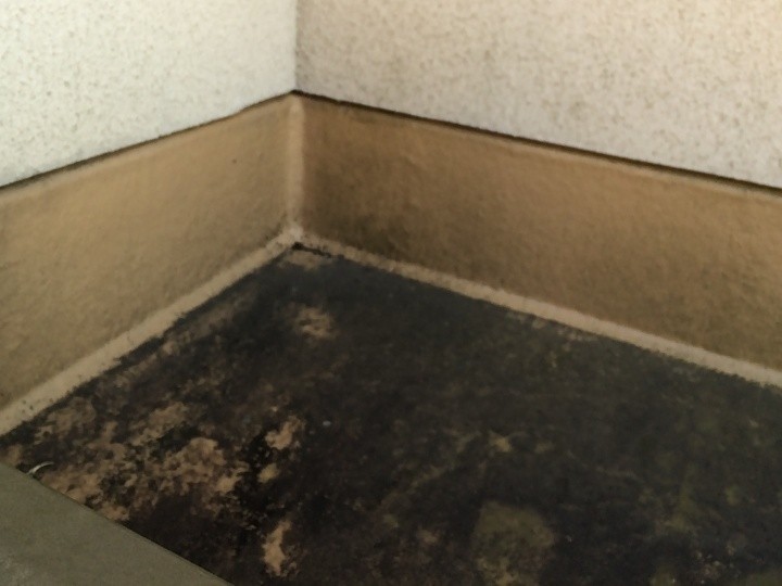 フラットルーフ