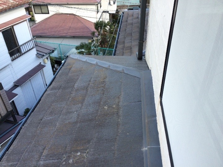 屋根に苔が発生