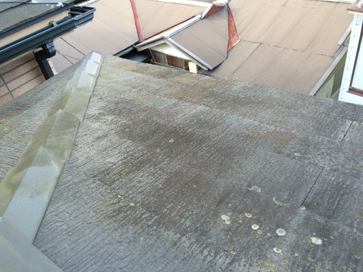 屋根に発生した苔