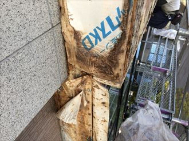 透湿防水シートが傷んでいる状況