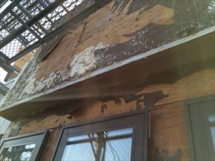 透湿防水シートが黒ずんでいる状態