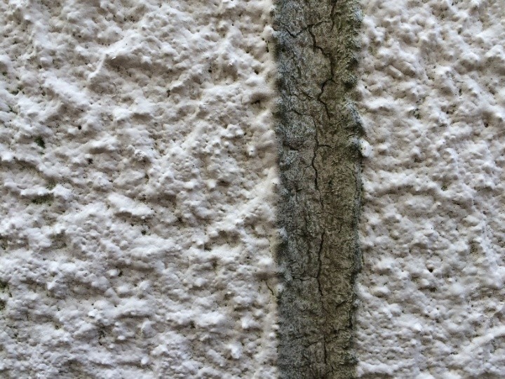 シーリングの変色