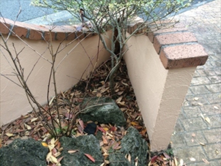 エラストコートのライトベースを用いた擁壁塗装工事（仕上げ塗り）