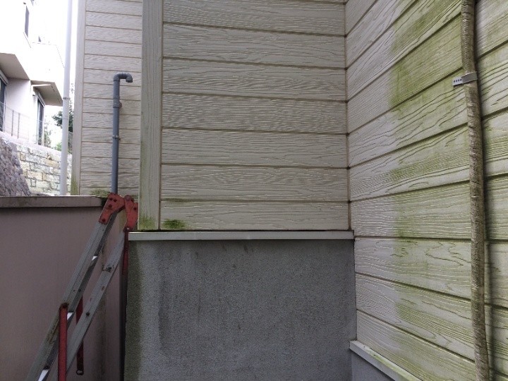 木目調のサイディングに苔が繁殖