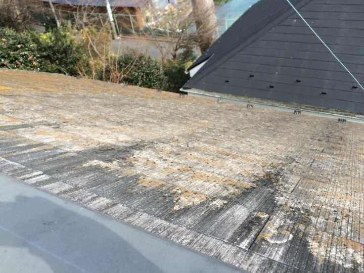 屋根の表面には苔やカビなどの汚れが付着