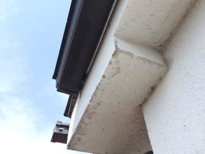 軒天のモルタル仕上げ