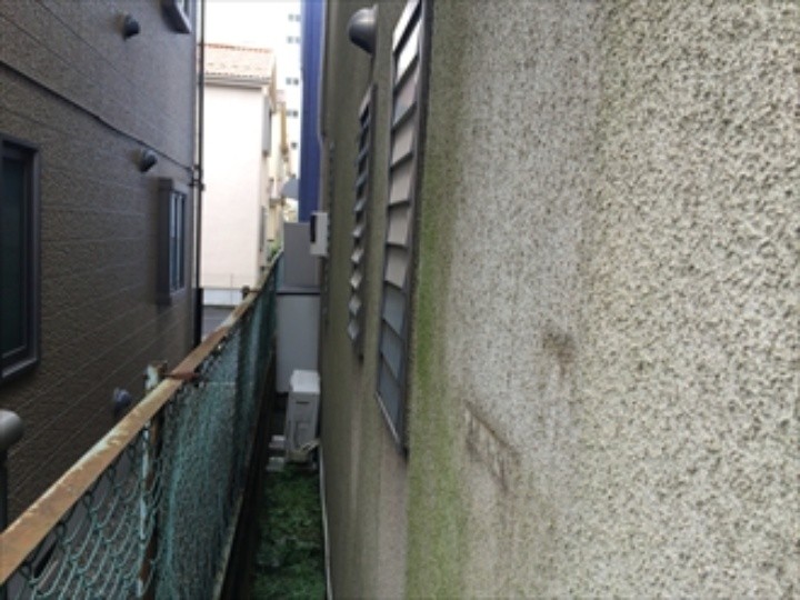 外壁の苔（こけ）