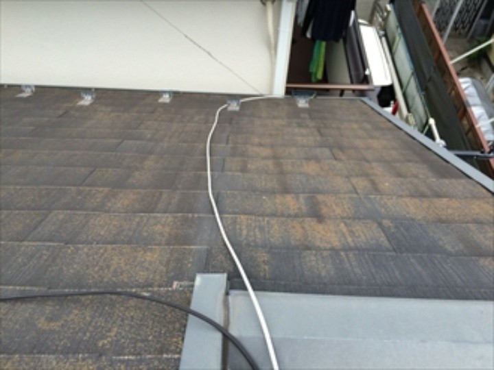 屋根に苔が付着