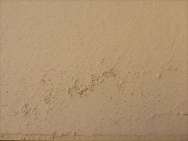 外壁が剥がれている状態