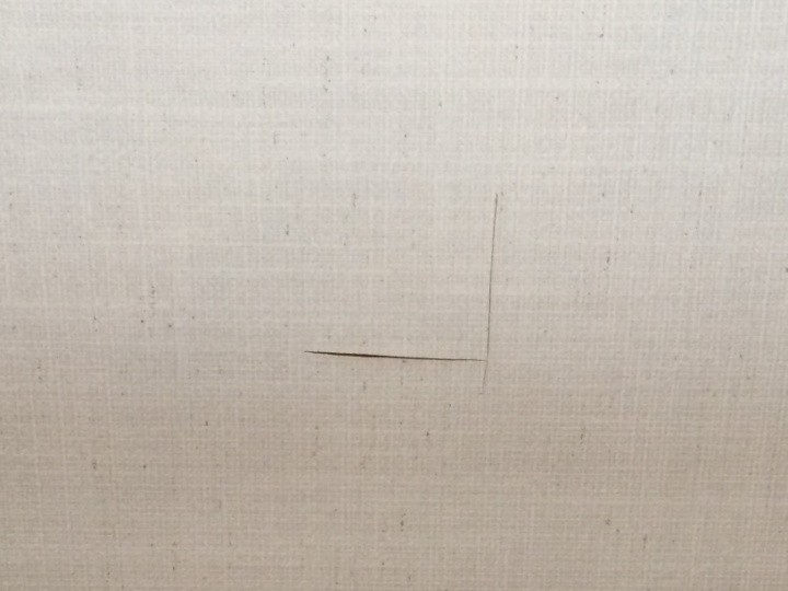 室愛の雨漏り箇所を点検調査