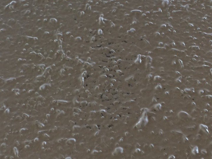 塗膜が薄くなっている箇所の状態