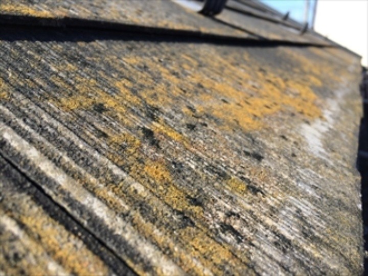 屋根のスレートの苔（こけ）