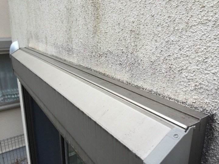 外壁の苔や染み