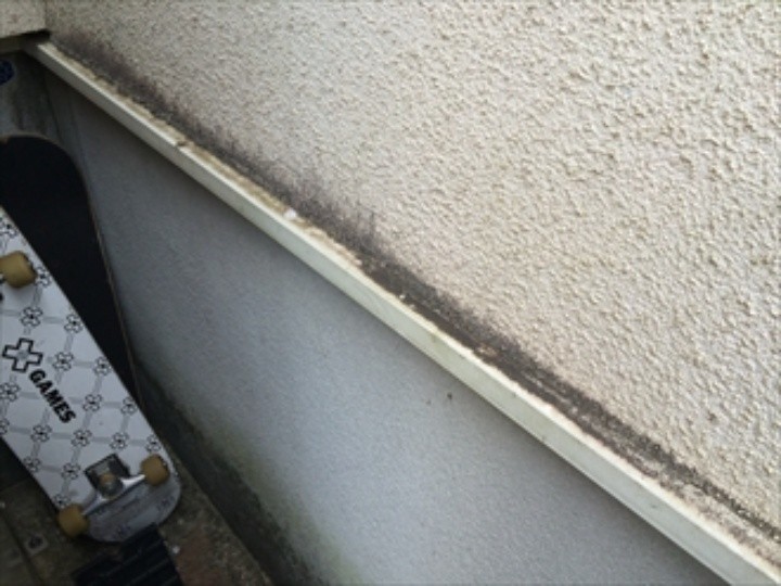 苔が付着した外壁