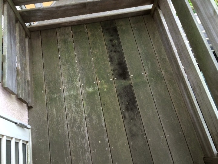 苔の繫殖が目立つ１階のウッドデッキ