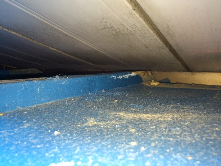 屋根裏の隙間確認（2枚目）