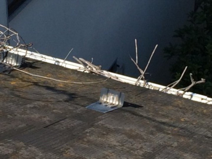 雨樋に枯れた蔓（つる）が詰まった状態