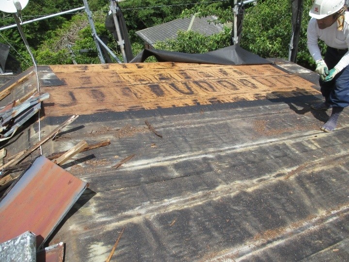 既存防水紙の露出と下地確認