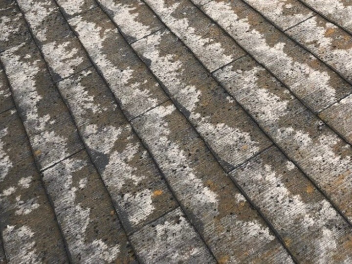 表面の苔繁殖と細かなひび割れ