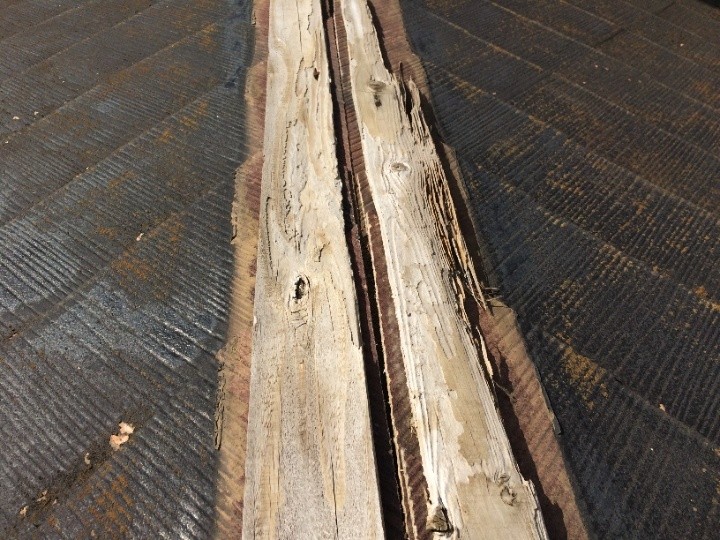 野地板と隅木の腐食