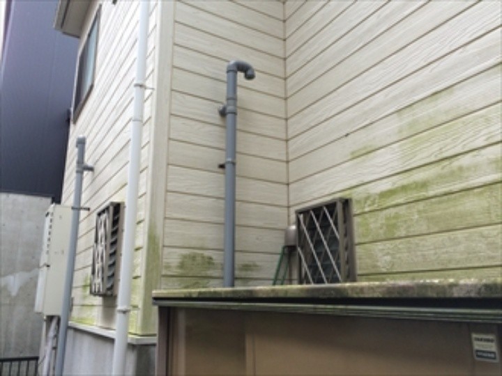 苔が繁殖した外壁