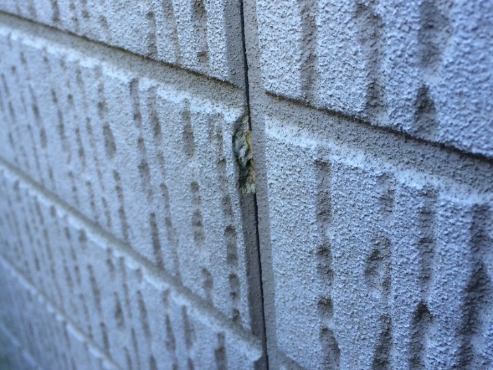 外壁の点検調査