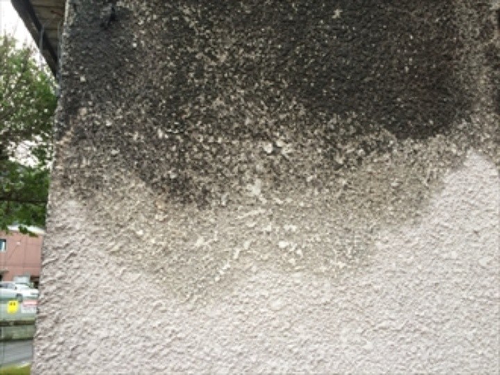 外壁はモルタル壁で玉吹き仕上げ