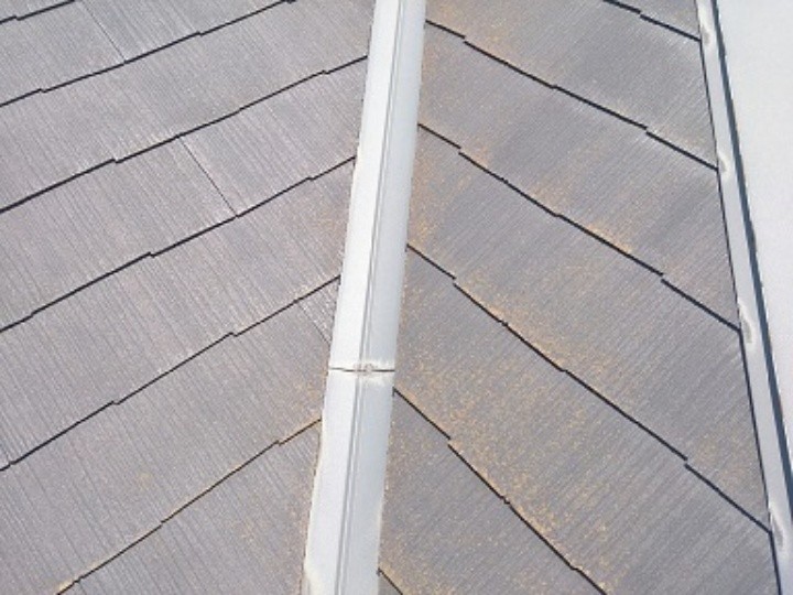 屋根面には苔（こけ）が発生