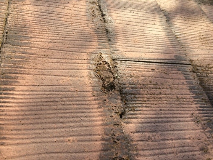 塗膜が破れて保護の効果を発揮できない状態