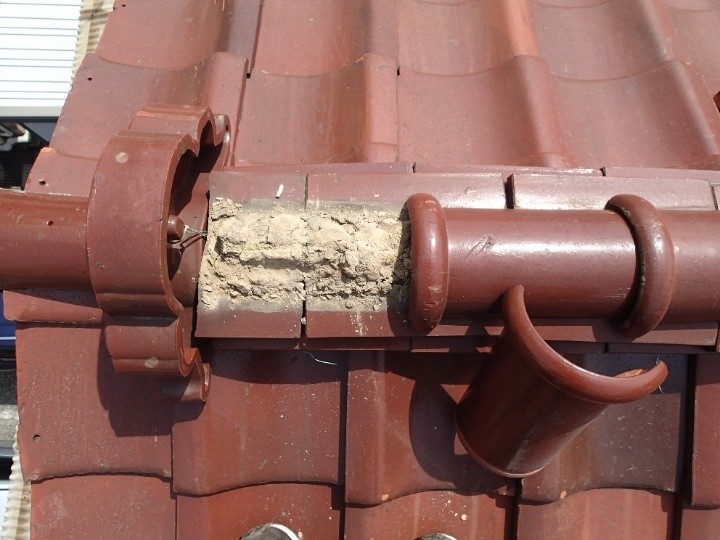 取り外した棟瓦内部の状況