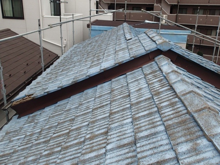 屋根全体の状態を確認