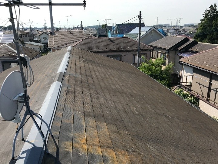 屋根全体の状況