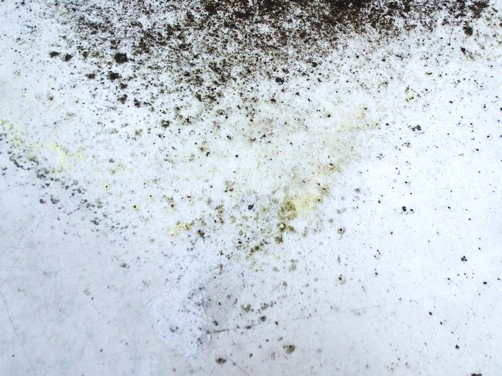 汚れやカビの発生している床面