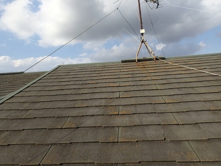 屋根全体の状態を確認