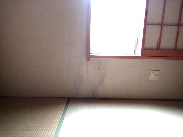 室内壁面の雨染みを確認