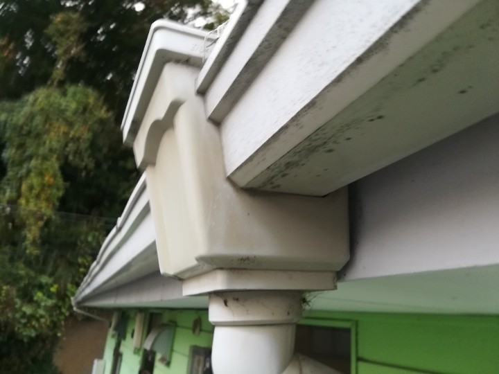 既存雨樋の汚れと劣化の確認