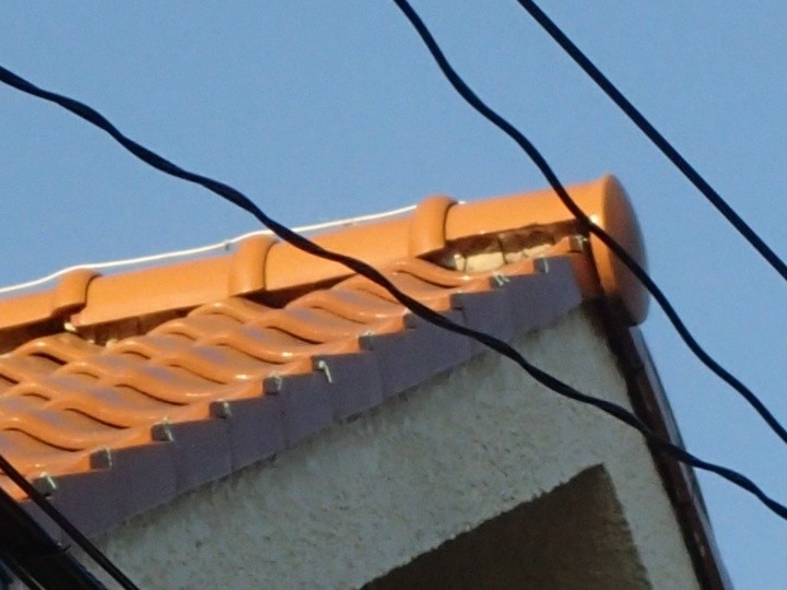 一部の丸棟で漆喰が大きく剥がれている様子