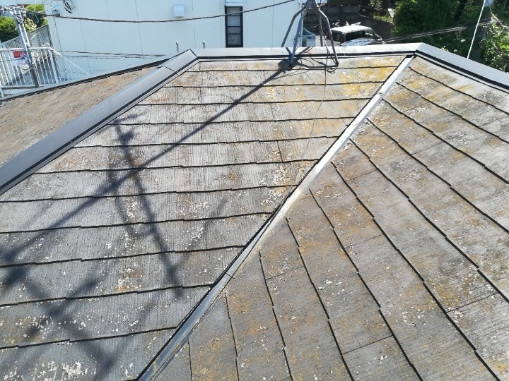 屋根全体の苔や色褪せの確認