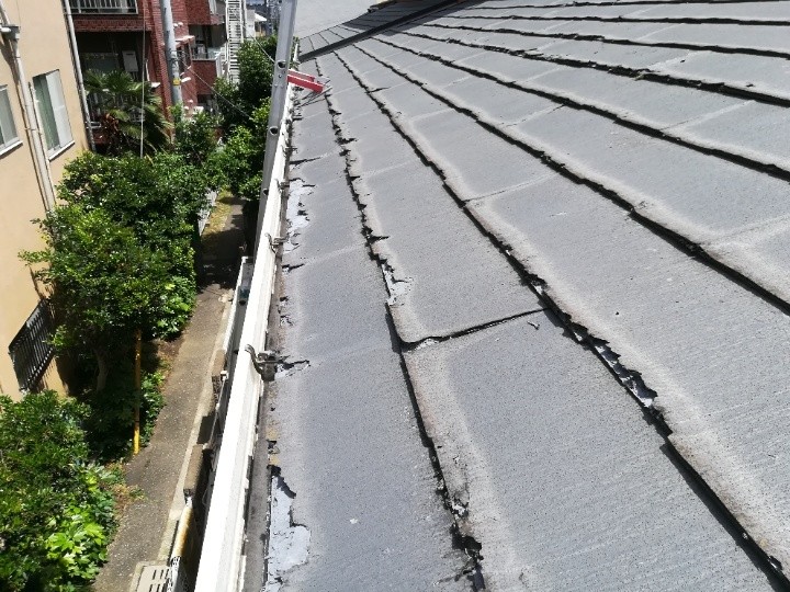 斜面全体に広がる層状剥離の確認