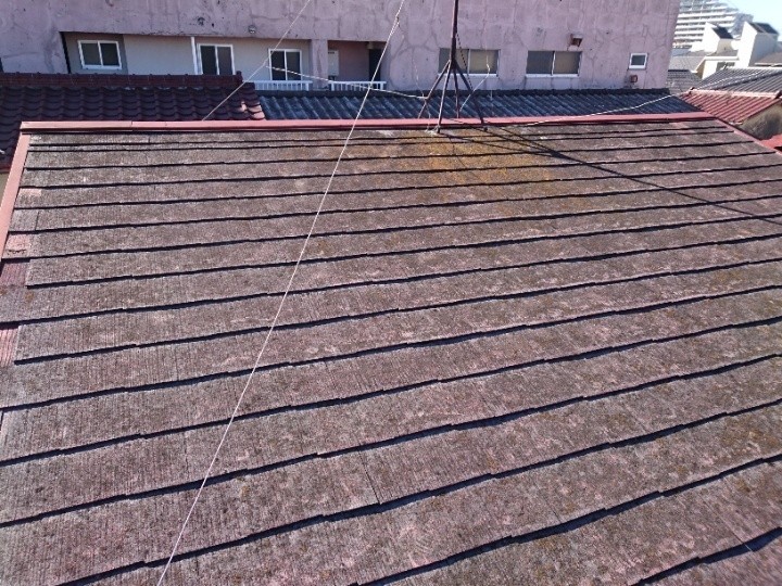 全体に苔が広がったコロニアル屋根の状態