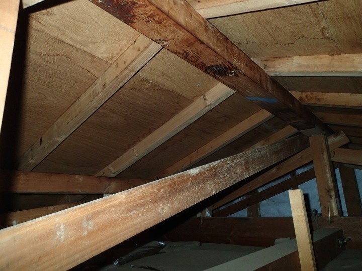 小屋裏の梁に見られる濡れ跡